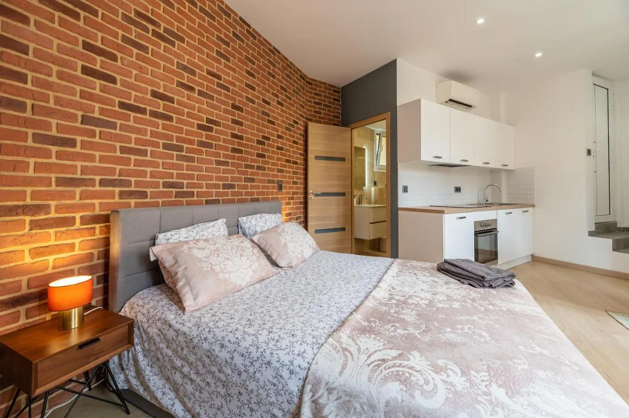 Grand Studio Climatise Tres Proche Monaco Beausoleil Apartment